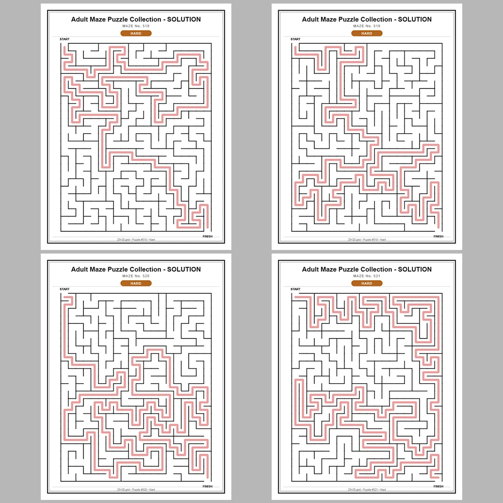 Maze Puzzle Hard 250 Pages of Puzzles – Vol. 3