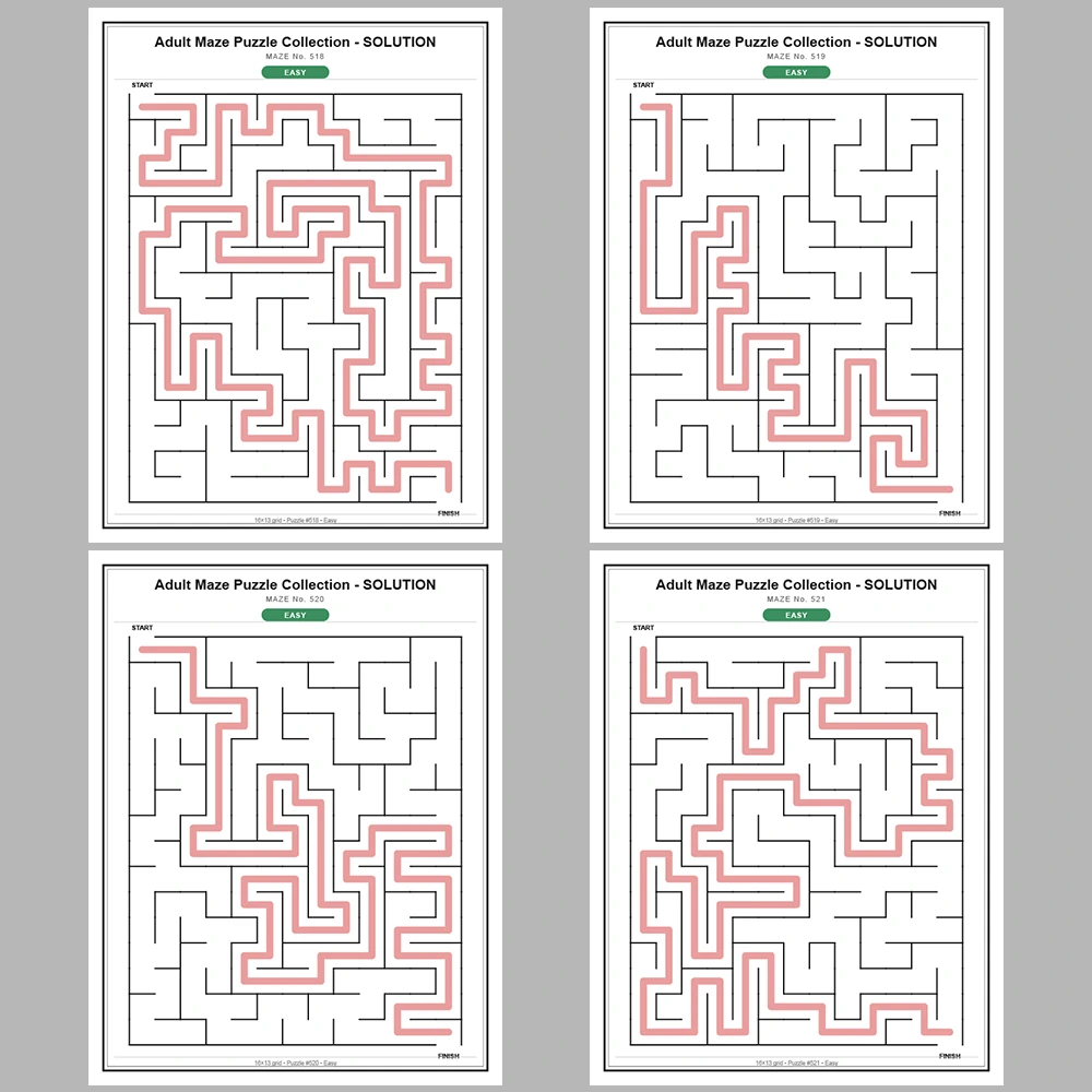 Maze Puzzle Easy 250 Pages of Puzzles – Vol. 3