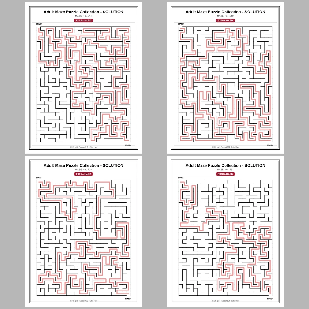 Maze Puzzle Extra Hard 250 Pages of Puzzles – Vol. 3