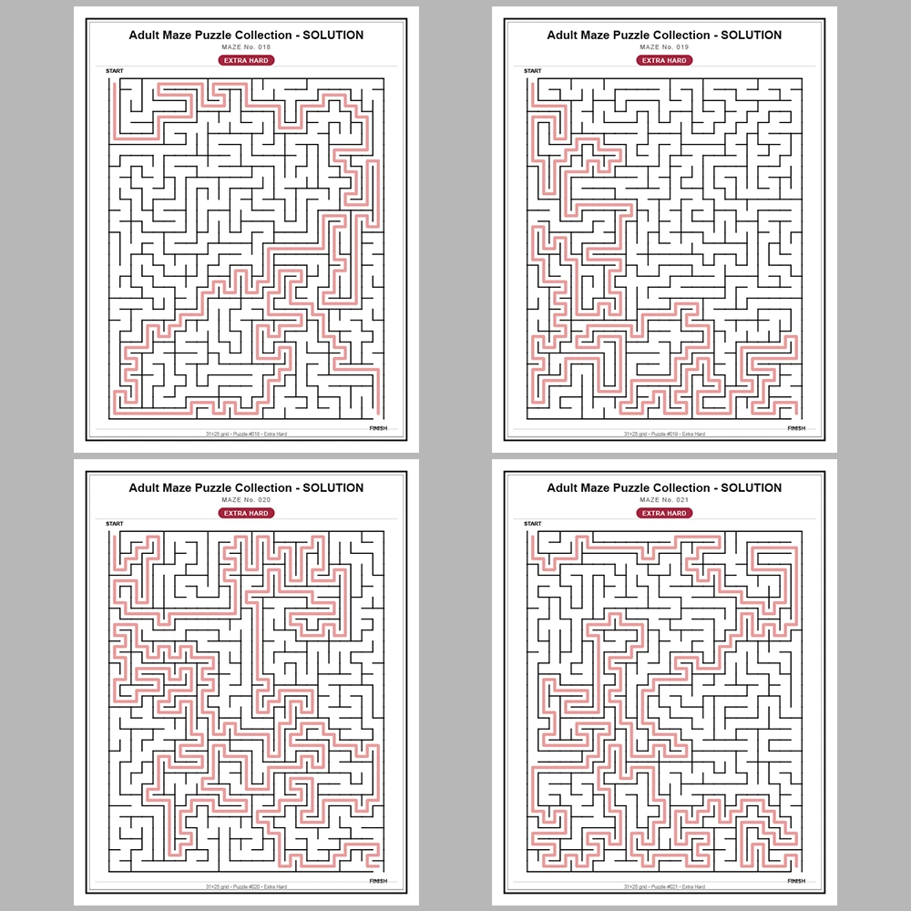 Maze Puzzle Extra Hard 250 Pages of Puzzles – Vol. 1