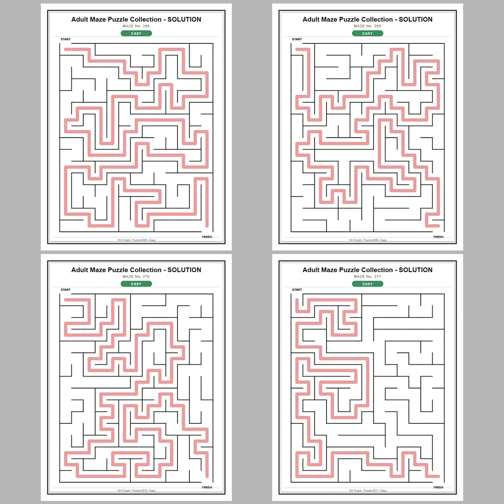 Maze Puzzle Easy 250 Pages of Puzzles – Vol. 2