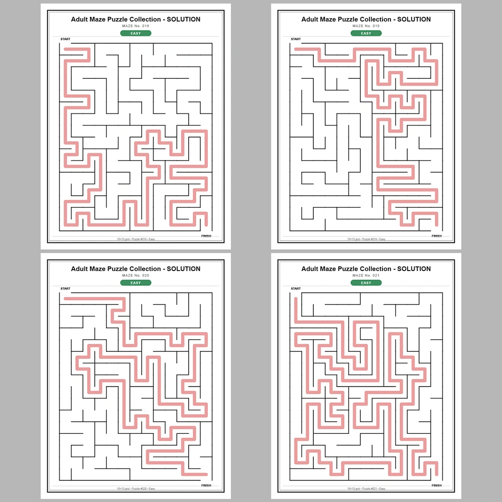 Maze Puzzle Easy 250 Pages of Puzzles – Vol. 1