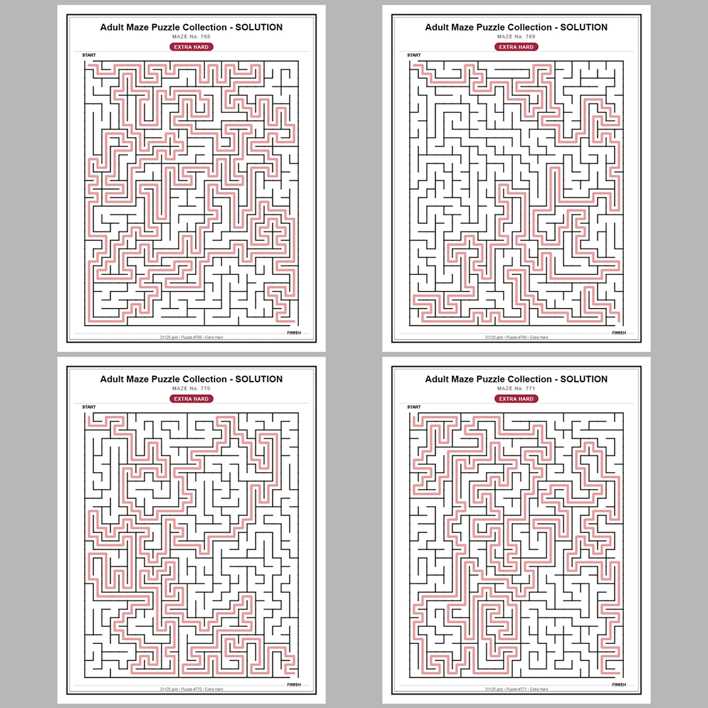 Maze Puzzle Extra Hard 250 Pages of Puzzles – Vol. 4