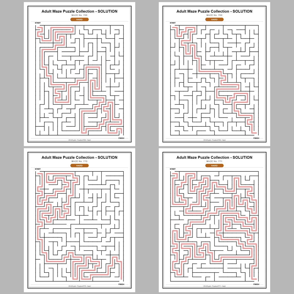 Maze Puzzle Hard 250 Pages of Puzzles – Vol. 4