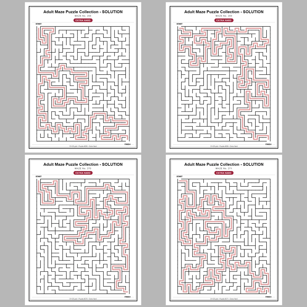 Maze Puzzle Extra Hard 250 Pages of Puzzles – Vol. 2