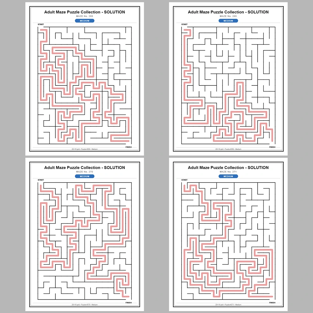 Maze Puzzle Medium 250 Pages of Puzzles – Vol. 2