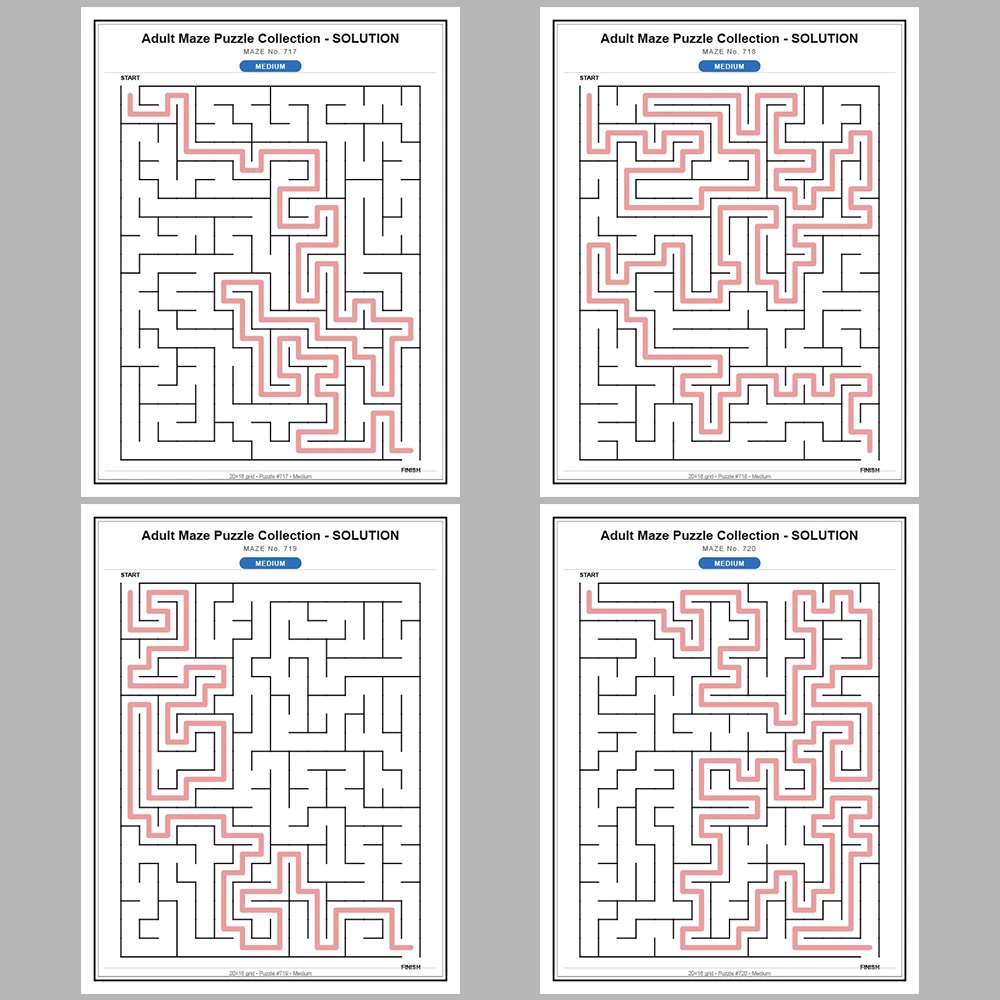 Maze Puzzle Medium 50 Pages of Puzzles – Vol. 15