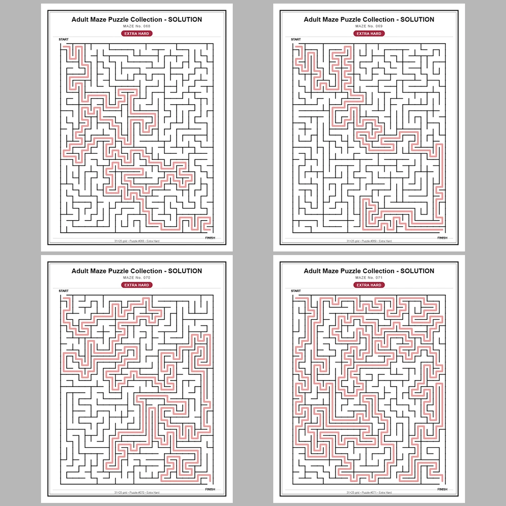 Maze Puzzle Extra Hard 50 Pages of Puzzles – Vol. 2