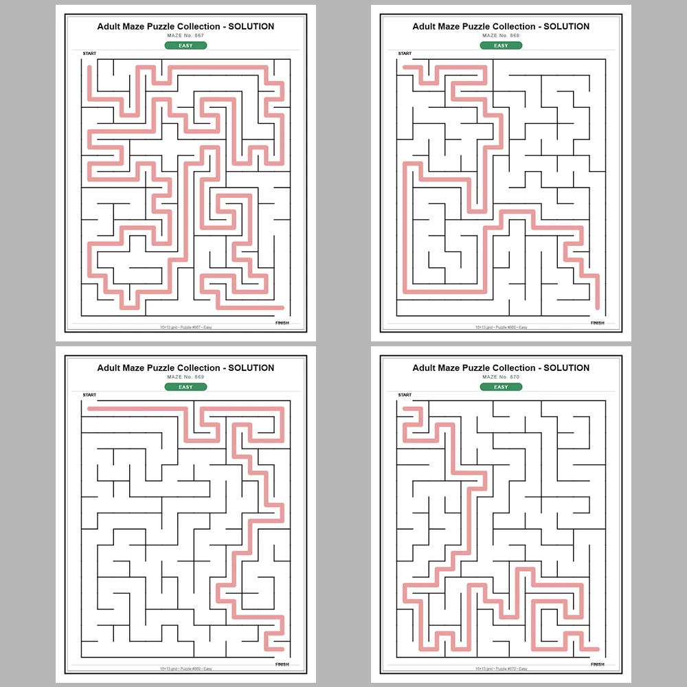 Maze Puzzle Easy 50 Pages of Puzzles – Vol. 18