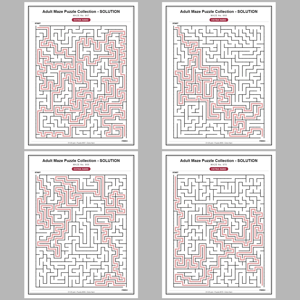 Maze Puzzle Extra Hard 50 Pages of Puzzles – Vol. 18