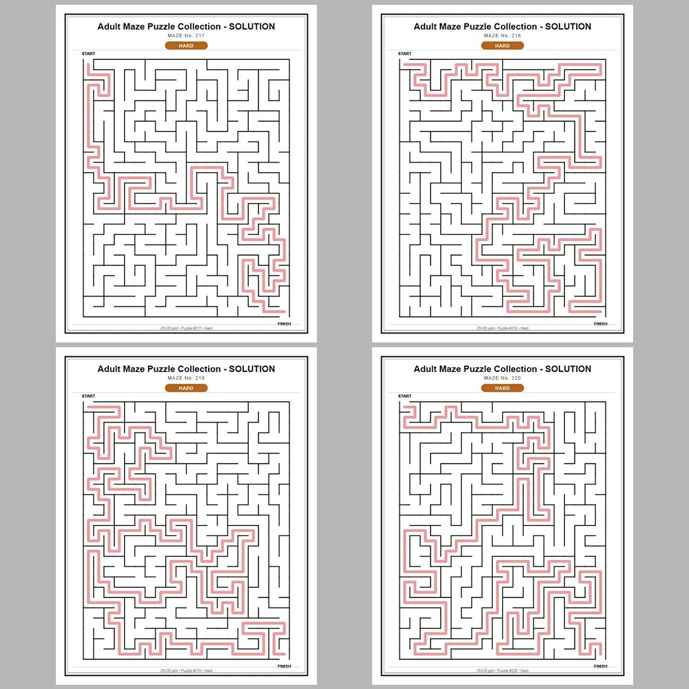 Maze Puzzle Hard 50 Pages of Puzzles – Vol. 5