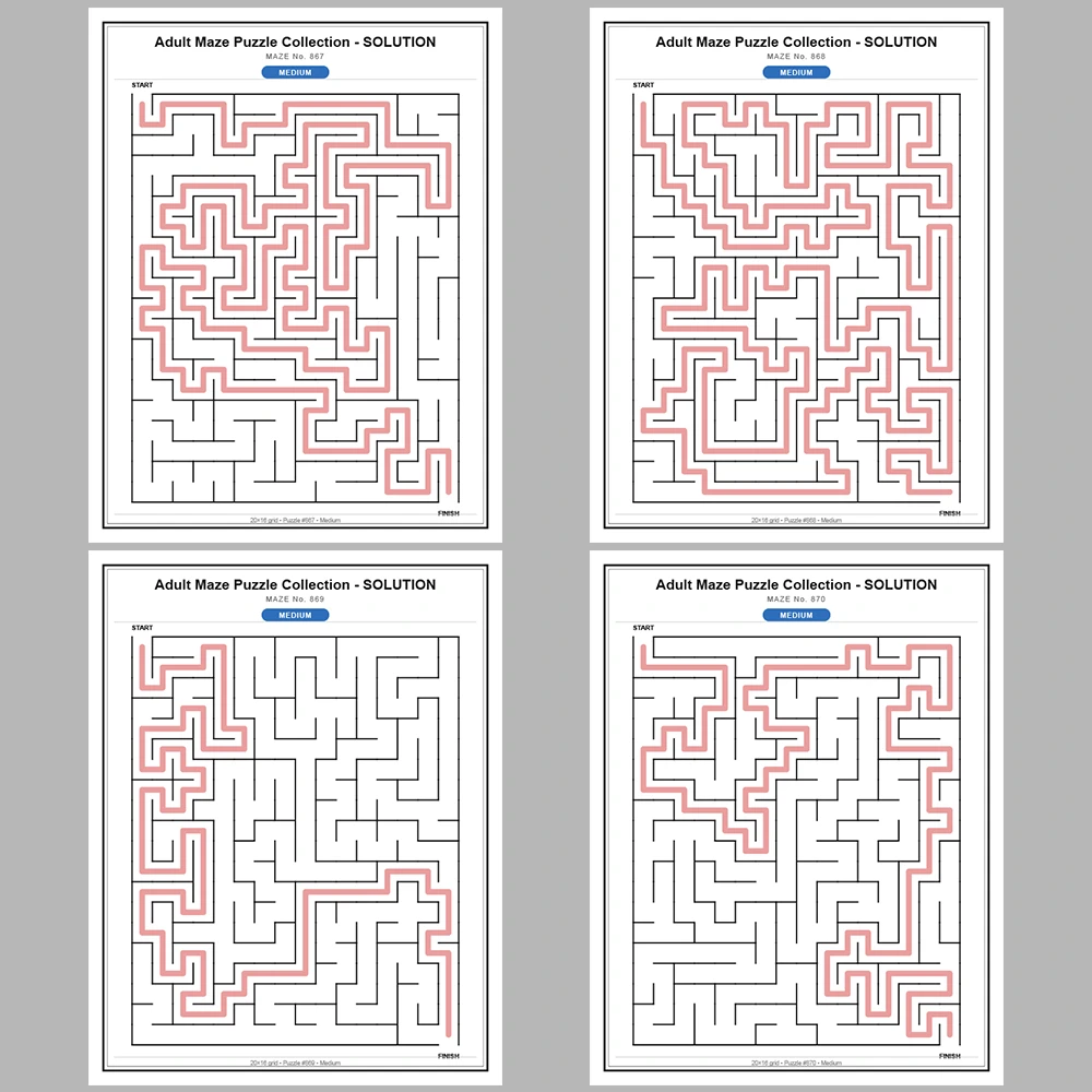 Maze Puzzle Medium 50 Pages of Puzzles – Vol. 18