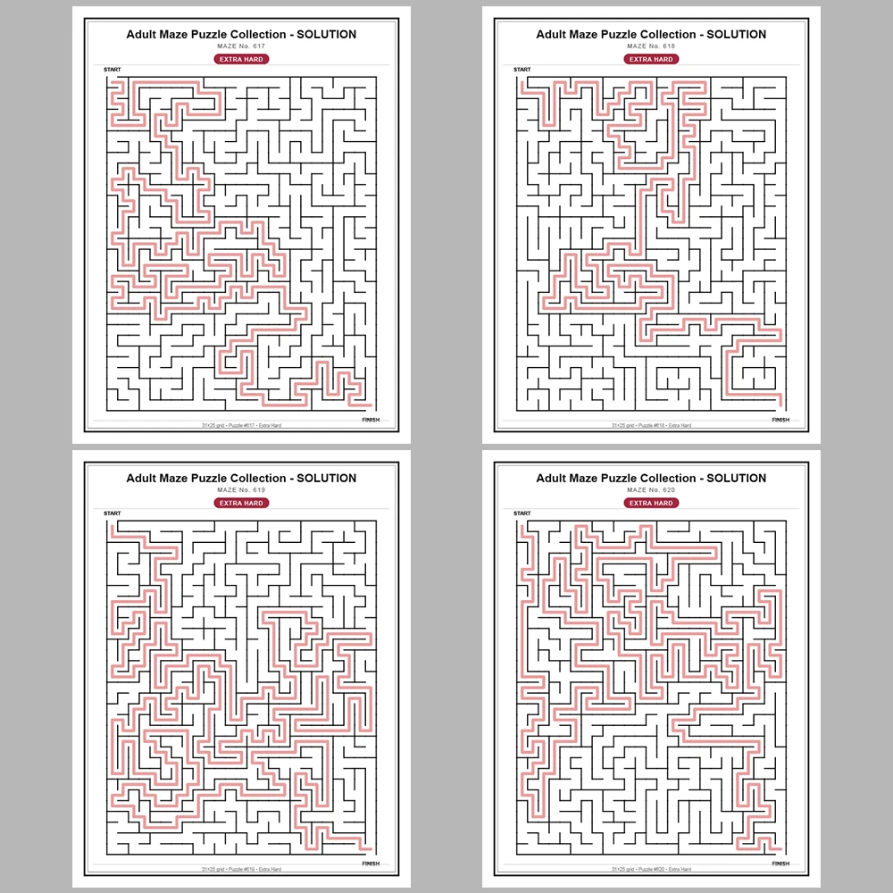 Maze Puzzle Extra Hard 50 Pages of Puzzles – Vol. 13
