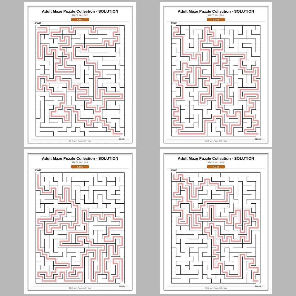 Maze Puzzle Hard 50 Pages of Puzzles – Vol. 18