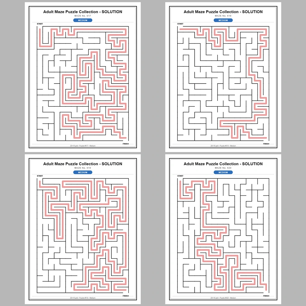 Maze Puzzle Medium 50 Pages of Puzzles – Vol. 13
