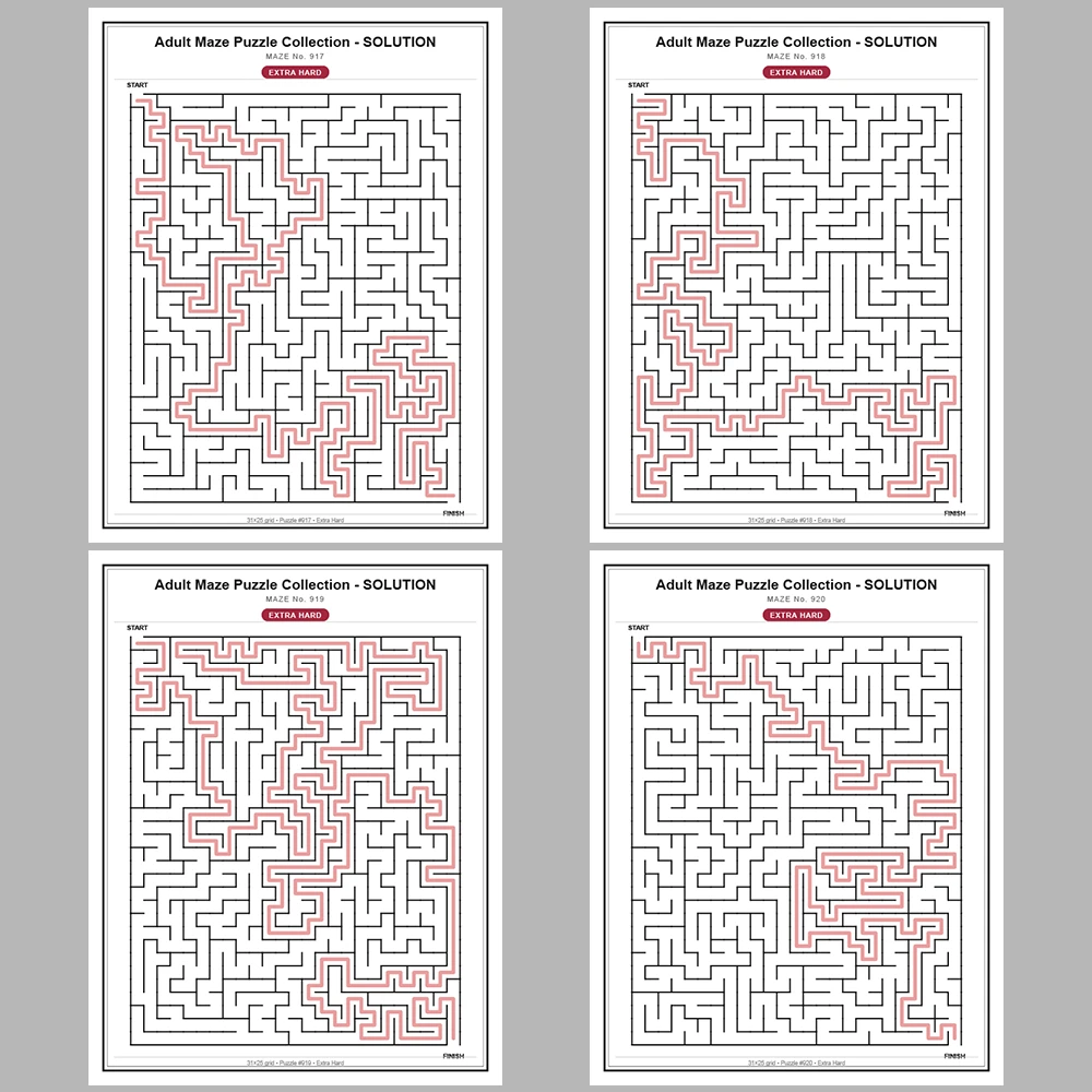 Maze Puzzle Extra Hard 50 Pages of Puzzles – Vol. 19