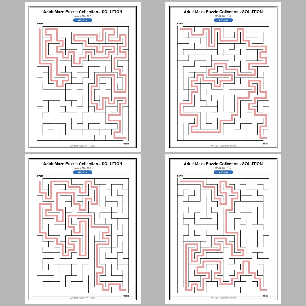 Maze Puzzle Medium 50 Pages of Puzzles – Vol. 4