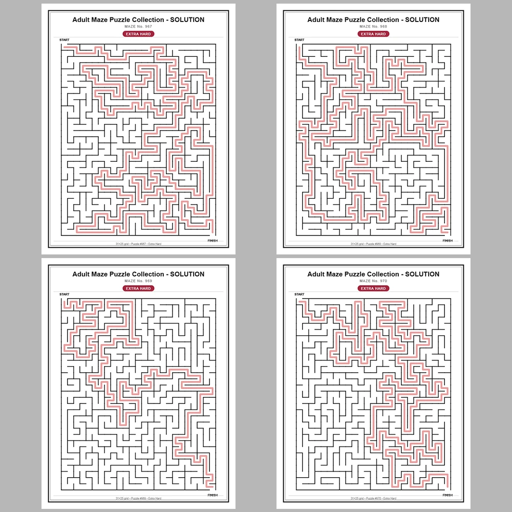 Maze Puzzle Extra Hard 50 Pages of Puzzles – Vol. 20