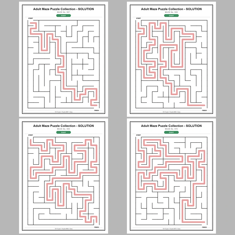 Maze Puzzle Easy 50 Pages of Puzzles – Vol. 20