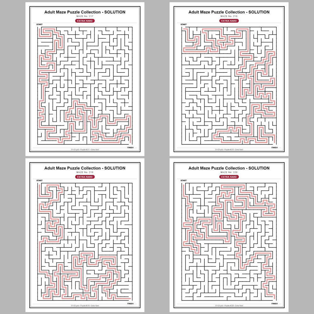 Maze Puzzle Extra Hard 50 Pages of Puzzles – Vol. 5