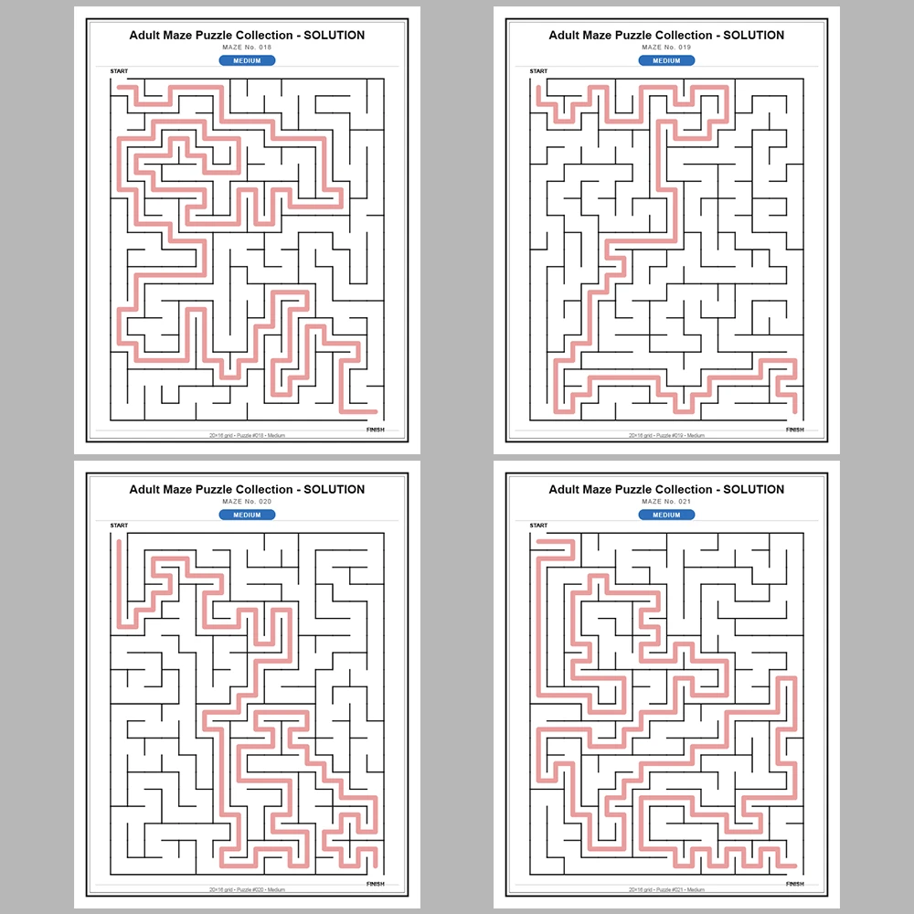 Maze Puzzle Medium 50 Pages of Puzzles – Vol. 1