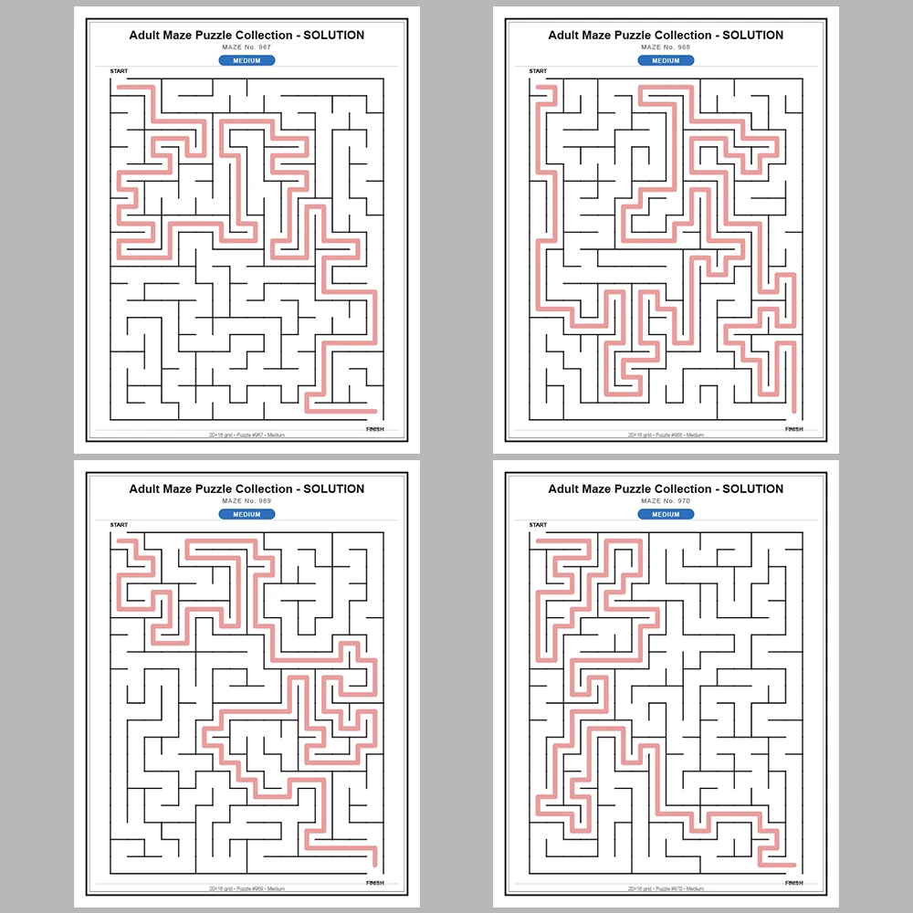 Maze Puzzle Medium 50 Pages of Puzzles – Vol. 20