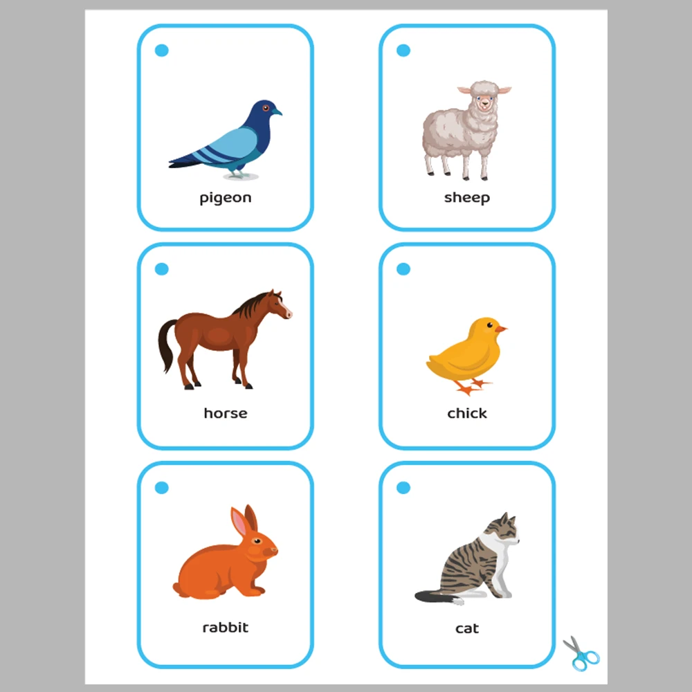 Animals 48 Flashcards