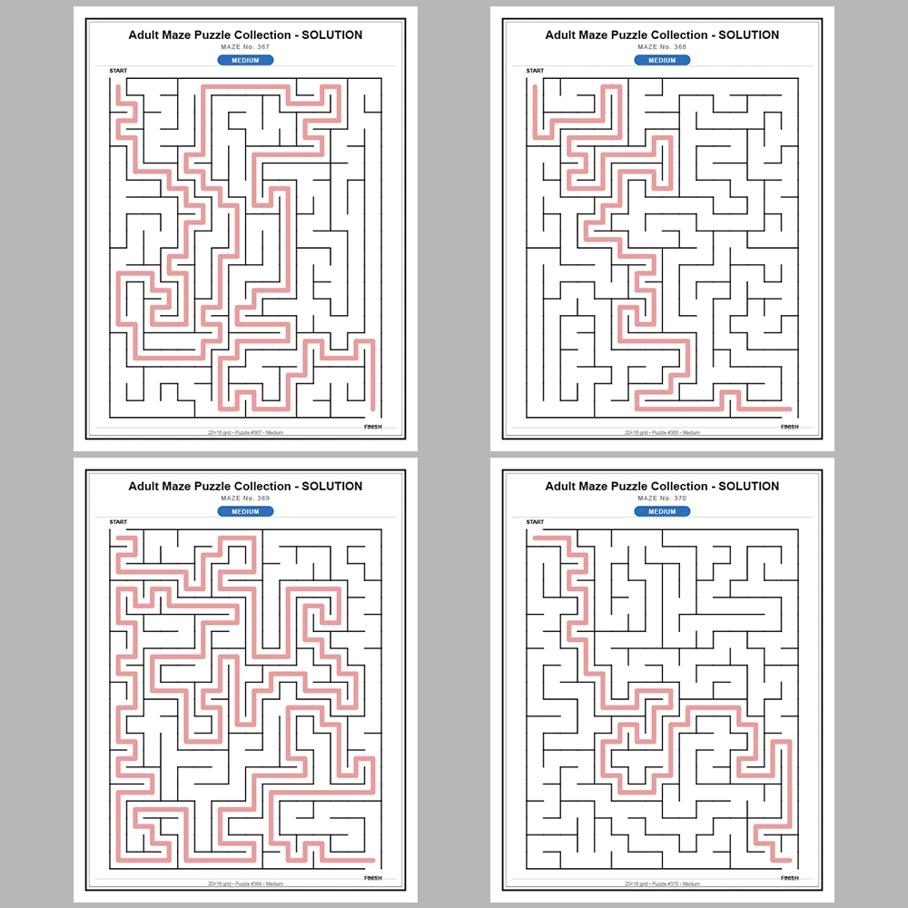Maze Puzzle Medium 50 Pages of Puzzles – Vol. 8