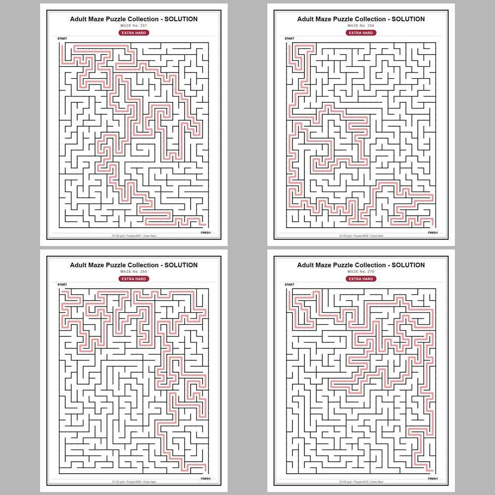 Maze Puzzle Extra Hard 50 Pages of Puzzles – Vol. 6