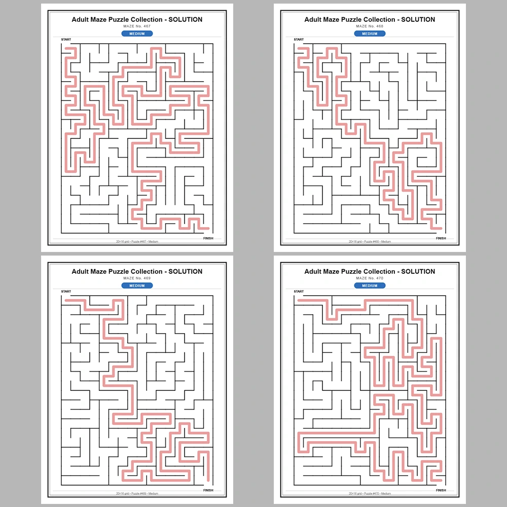 Maze Puzzle Medium 50 Pages of Puzzles – Vol. 10