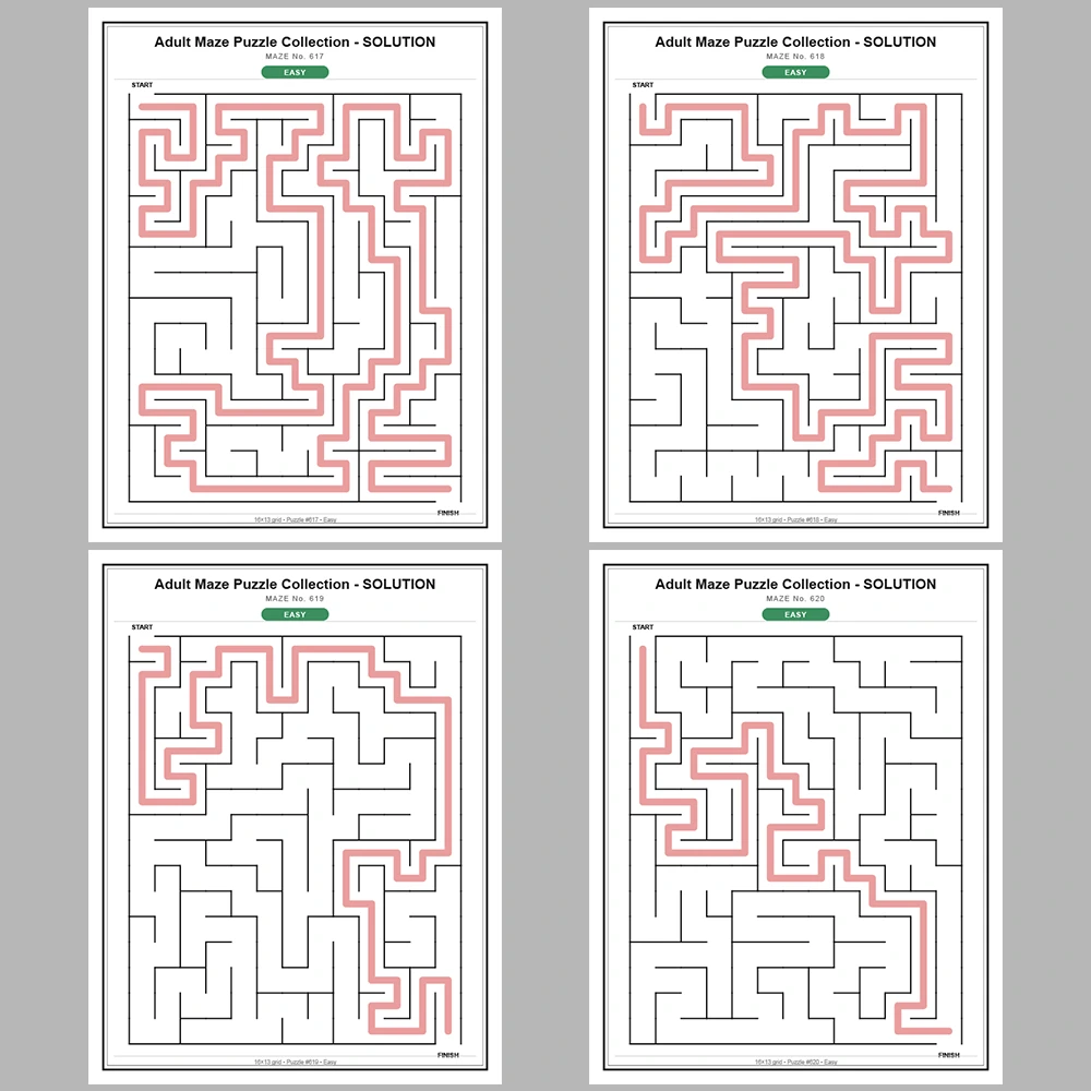 Maze Puzzle Easy 50 Pages of Puzzles – Vol. 13