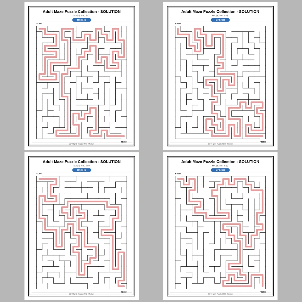 Maze Puzzle Medium 50 Pages of Puzzles – Vol. 11