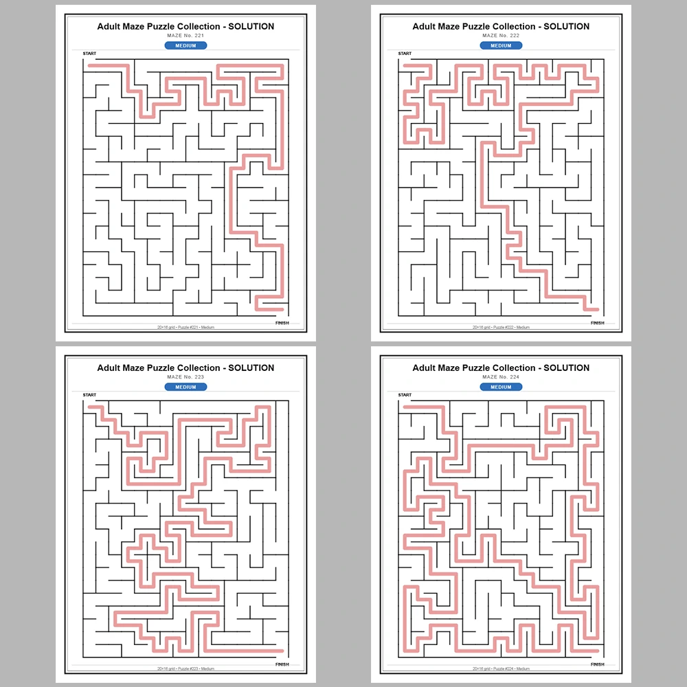 Maze Puzzle Medium 50 Pages of Puzzles – Vol. 5