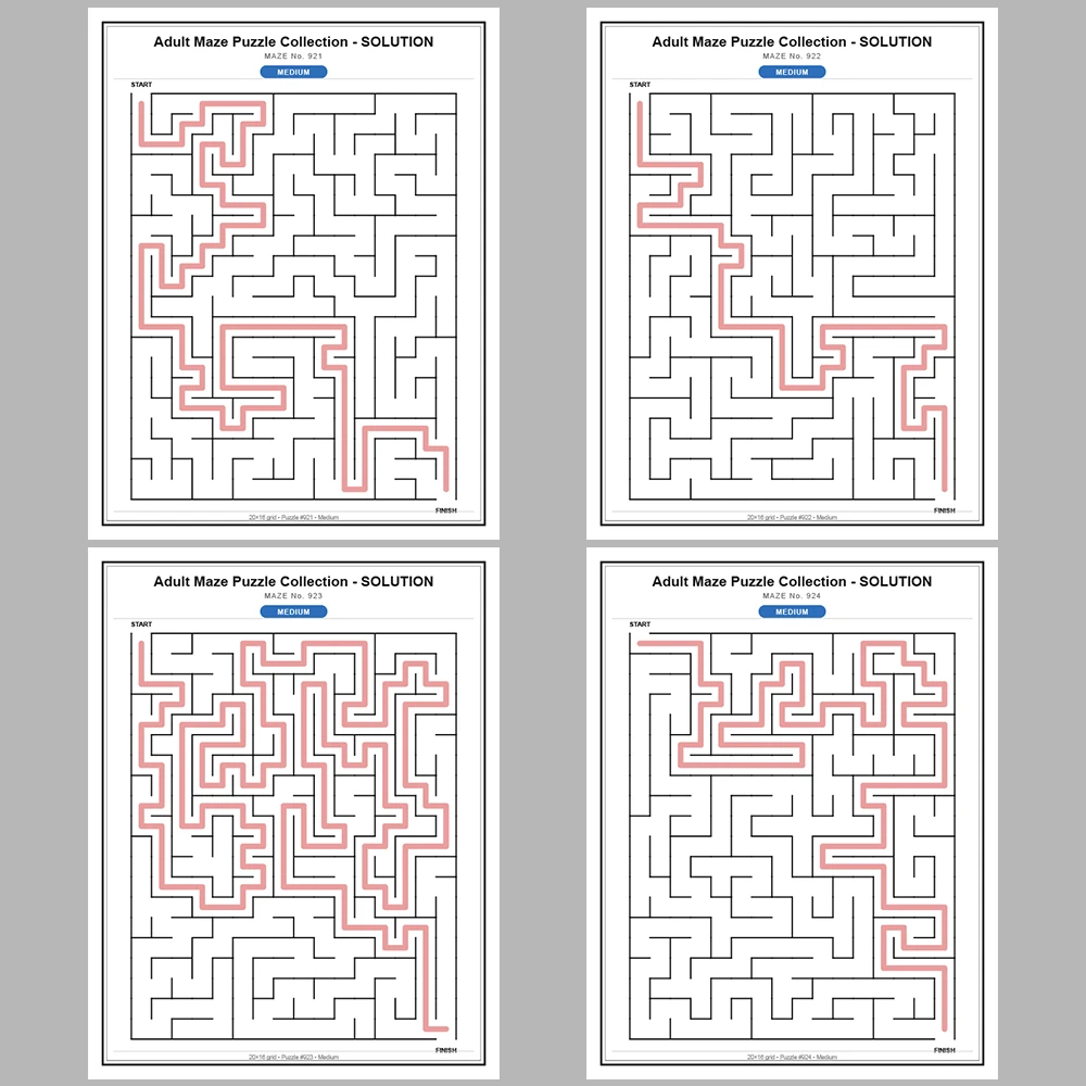 Maze Puzzle Medium 50 Pages of Puzzles – Vol. 19