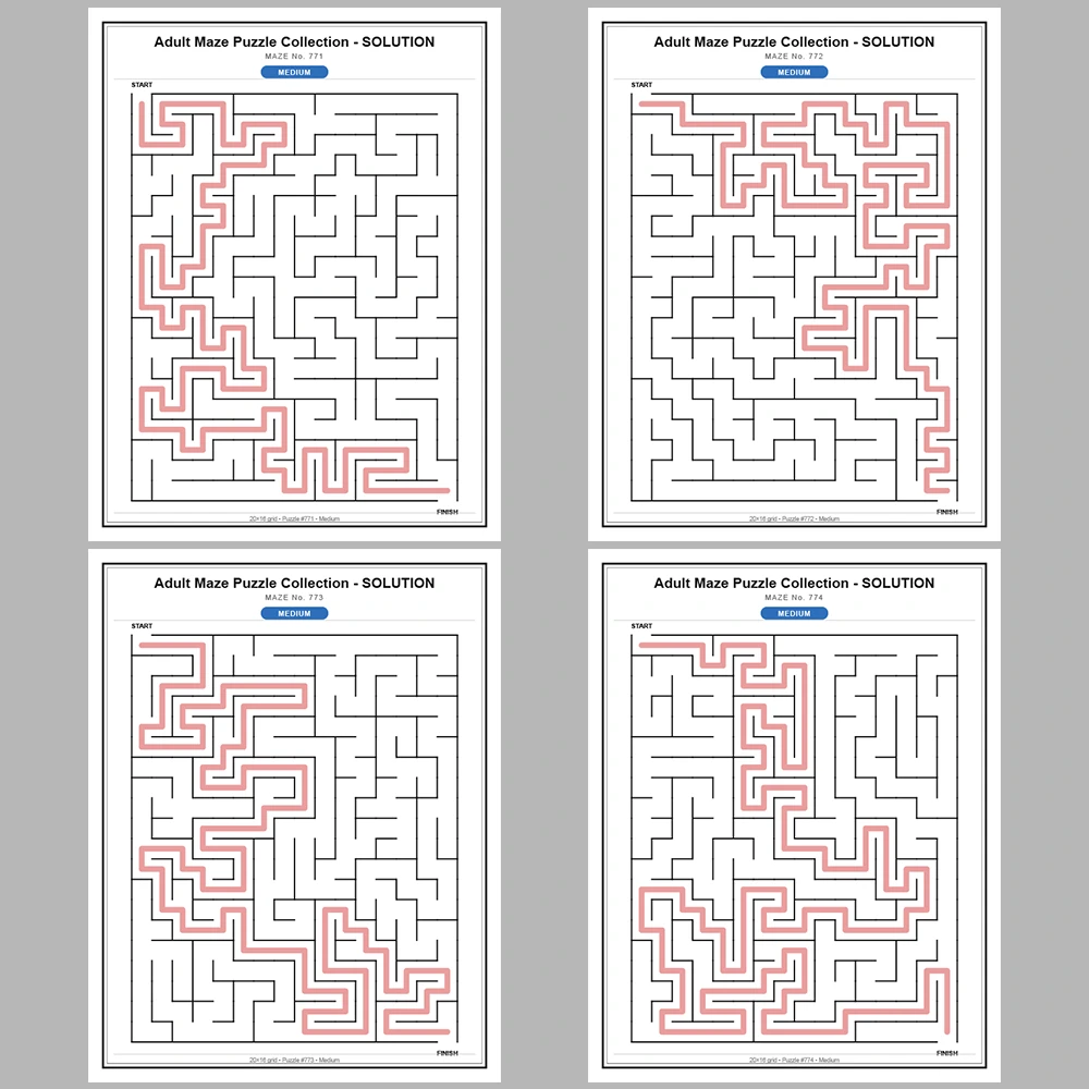 Maze Puzzle Medium 50 Pages of Puzzles – Vol. 16