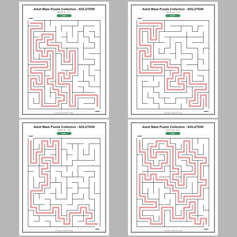 Maze Puzzle Easy 50 Pages of Puzzles – Vol. 16