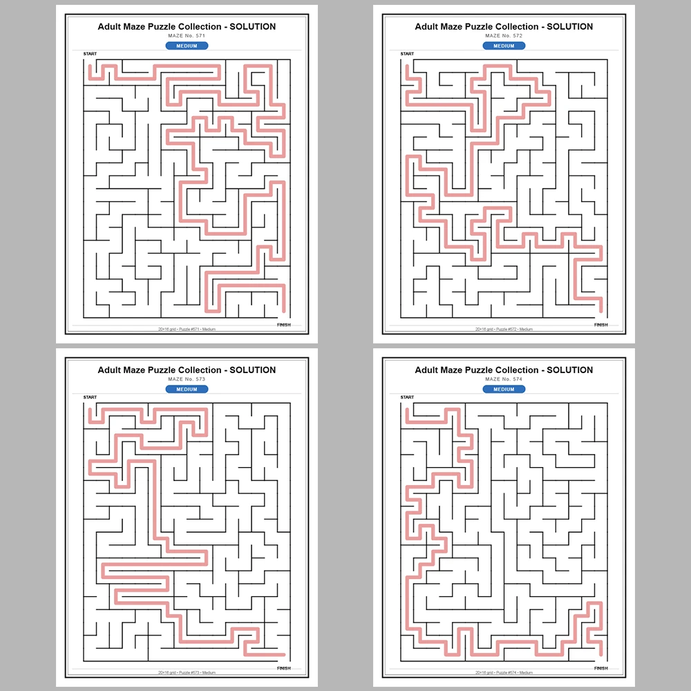 Maze Puzzle Medium 50 Pages of Puzzles – Vol. 12