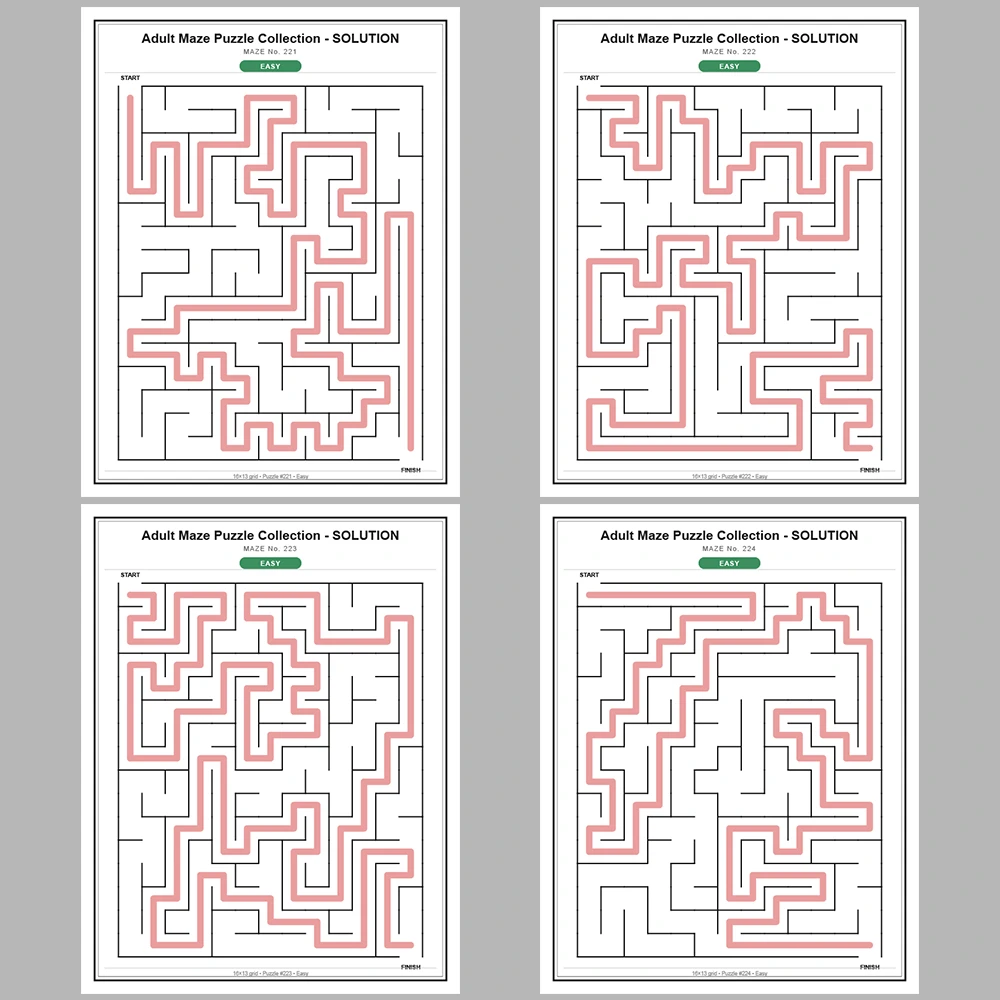 Maze Puzzle Easy 50 Pages of Puzzles – Vol. 5