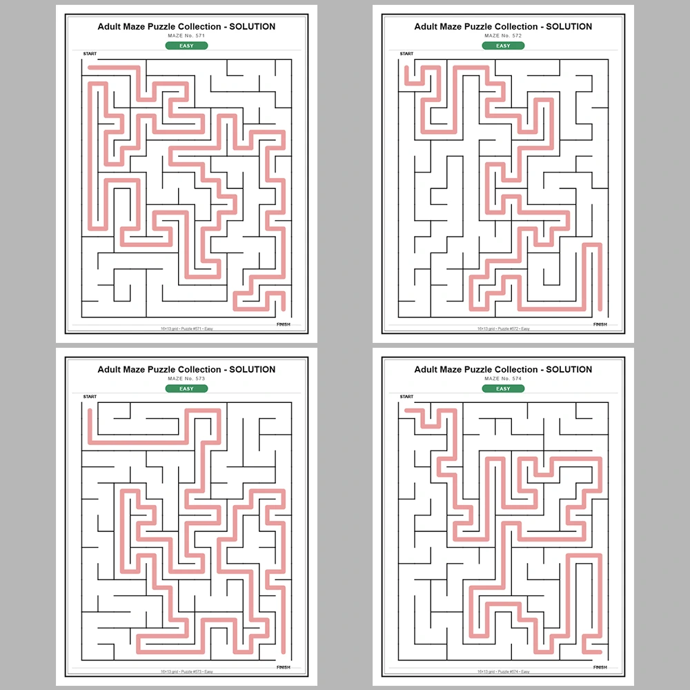 Maze Puzzle Easy 50 Pages of Puzzles – Vol. 12
