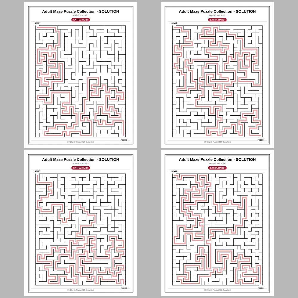 Maze Puzzle Extra Hard 50 Pages of Puzzles – Vol. 17