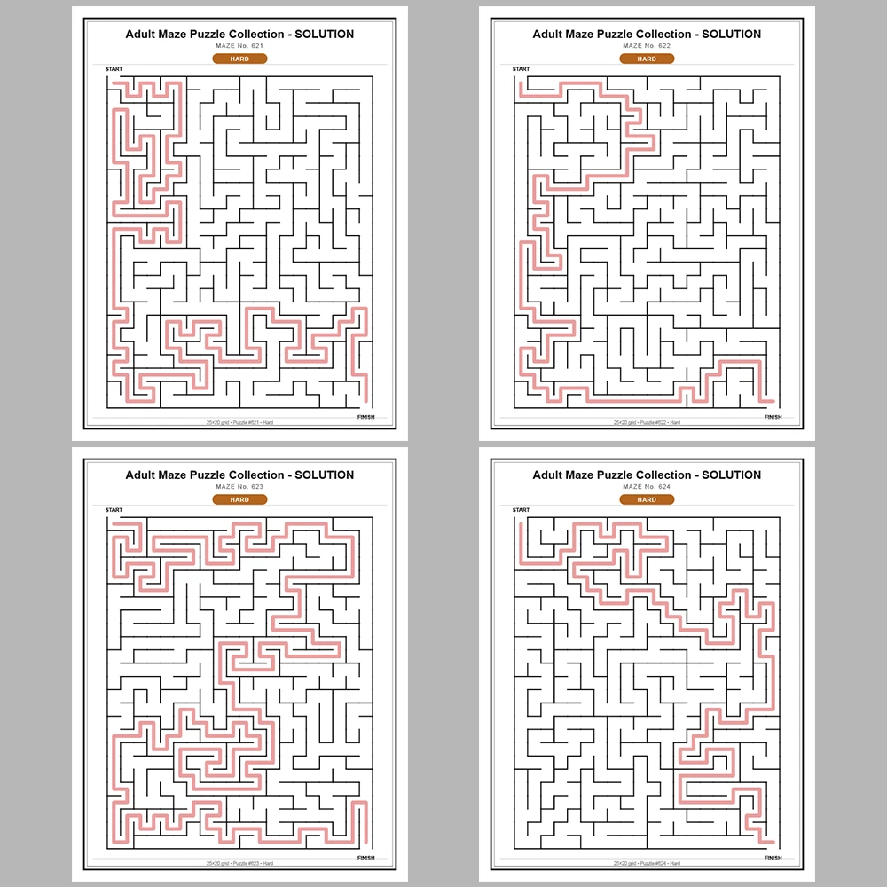 Maze Puzzle Hard 50 Pages of Puzzles – Vol. 13