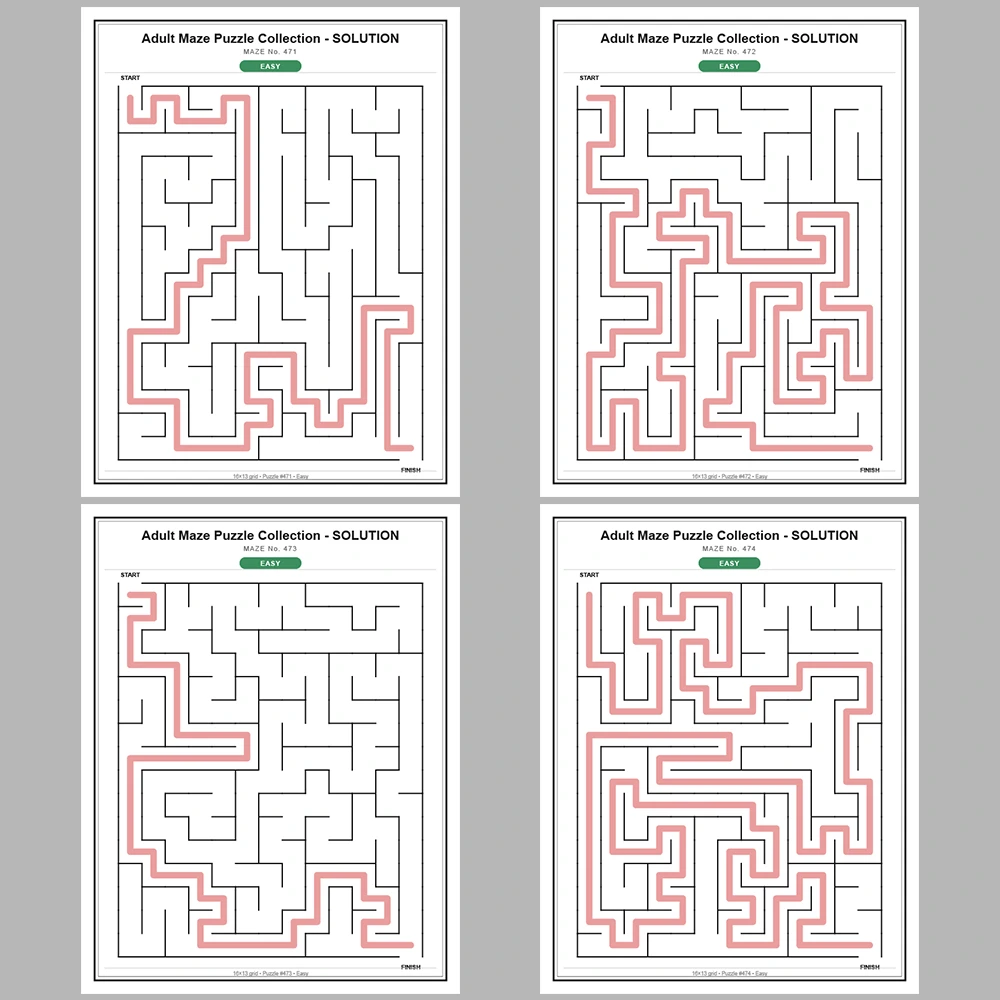 Maze Puzzle Easy 50 Pages of Puzzles – Vol. 10