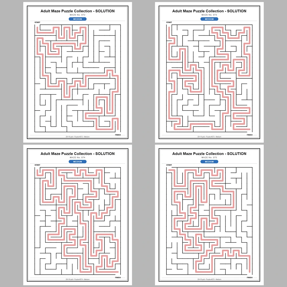 Maze Puzzle Medium 50 Pages of Puzzles – Vol. 2