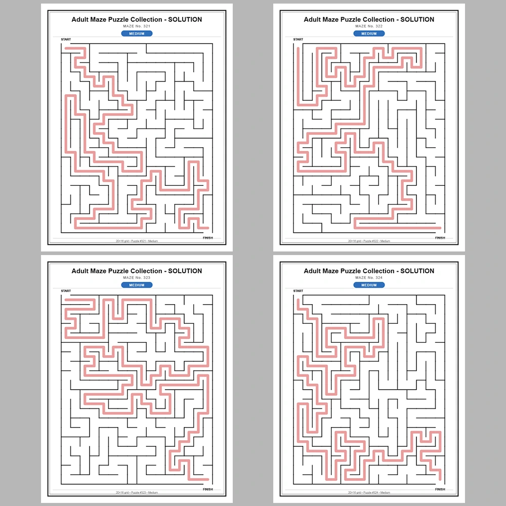Maze Puzzle Medium 50 Pages of Puzzles – Vol. 7