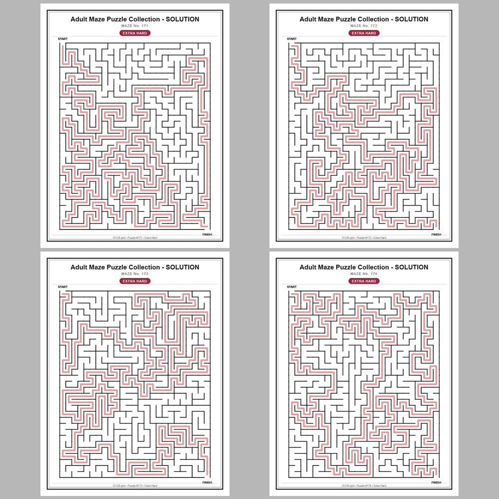 Maze Puzzle Extra Hard 50 Pages of Puzzles – Vol. 4