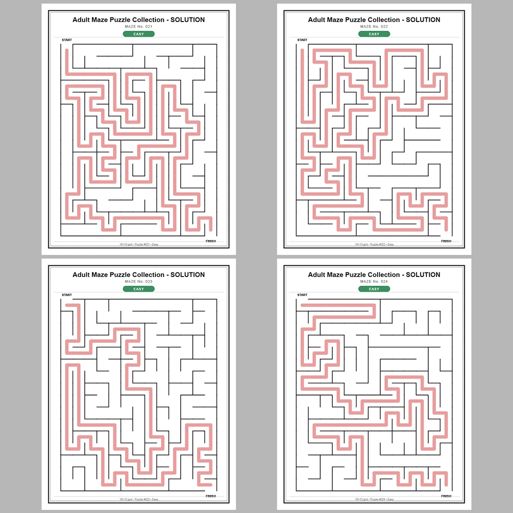 Maze Puzzle Easy 50 Pages of Puzzles – Vol. 3