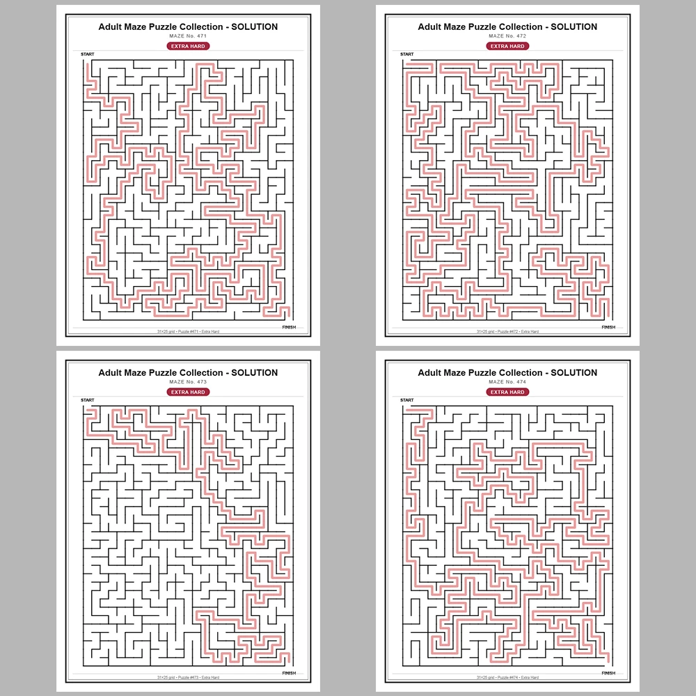 Maze Puzzle Extra Hard 50 Pages of Puzzles – Vol. 10