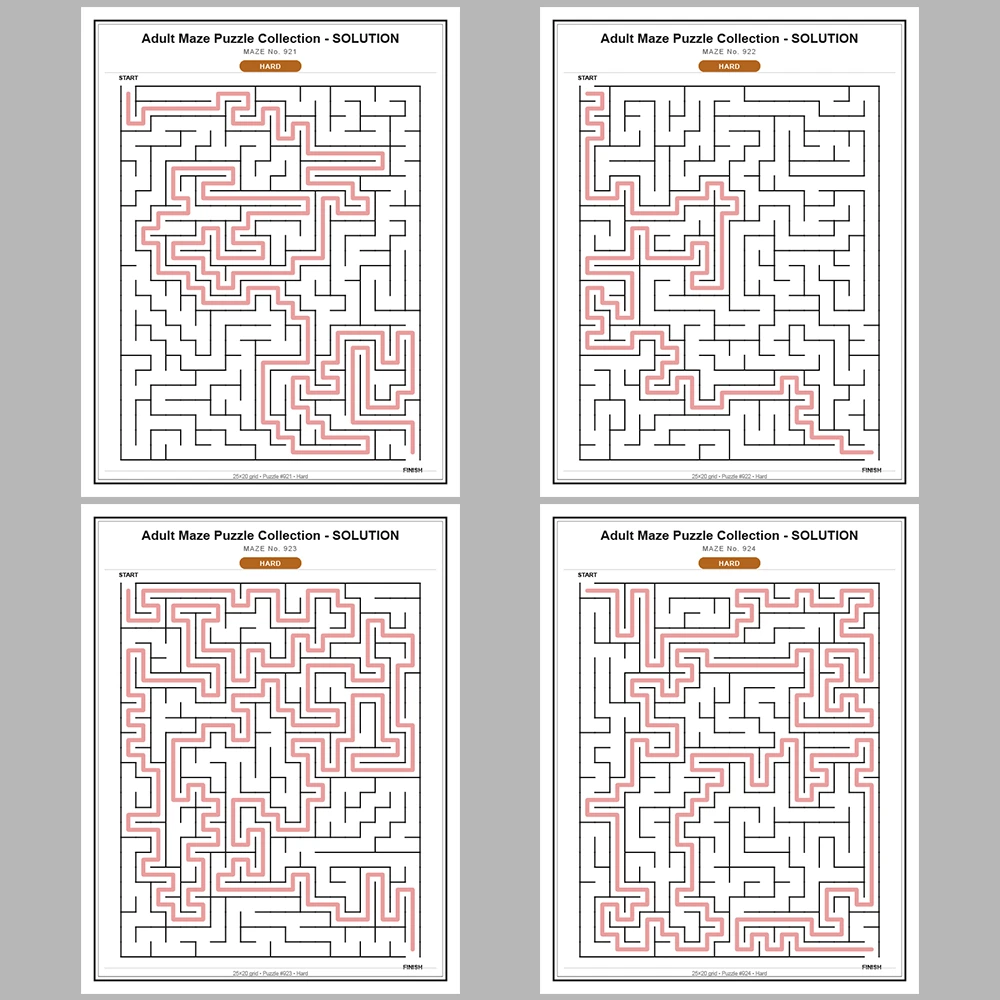 Maze Puzzle Hard 50 Pages of Puzzles – Vol. 19