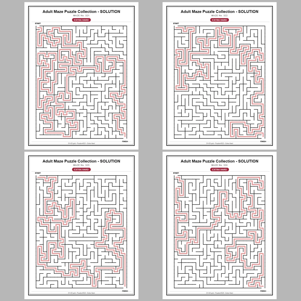 Maze Puzzle Extra Hard 50 Pages of Puzzles – Vol. 7
