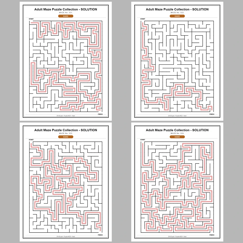 Maze Puzzle Hard 50 Pages of Puzzles – Vol. 11